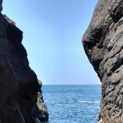 アカハタはどこいった?