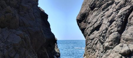 アカハタはどこいった?