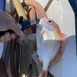 初めての銅付き仕掛け