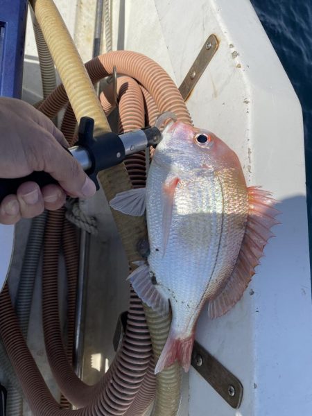 初めての銅付き仕掛け