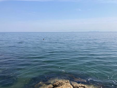 田島へ良型キスを求めて!