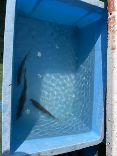 初チャーター便