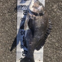 年無し10匹‼️