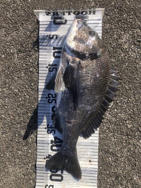 年無し10匹‼️