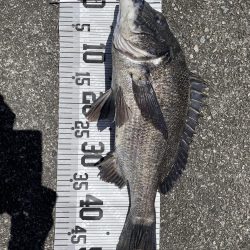 イチノ兄弟、釣果!