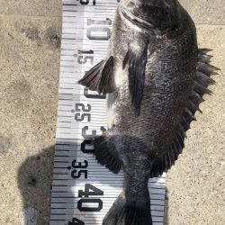 イチノ兄弟、釣果!