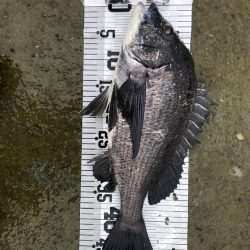 イチノ兄弟、釣果!