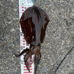 風裏に誘われて