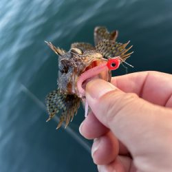 ガッシーは裏切らない