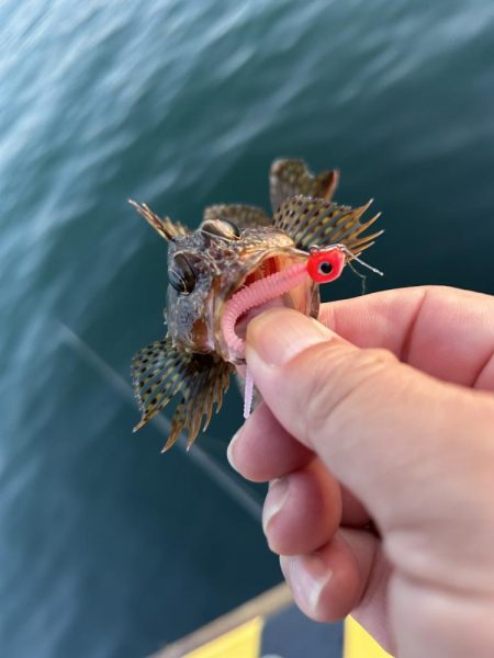 ガッシーは裏切らない