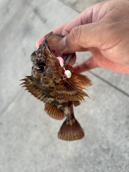 癒やしのガッシー2nd