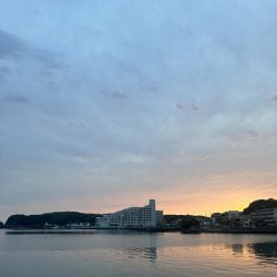 ガッシー狙ってたらクエ子