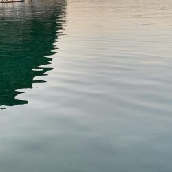 本命かと・・・?