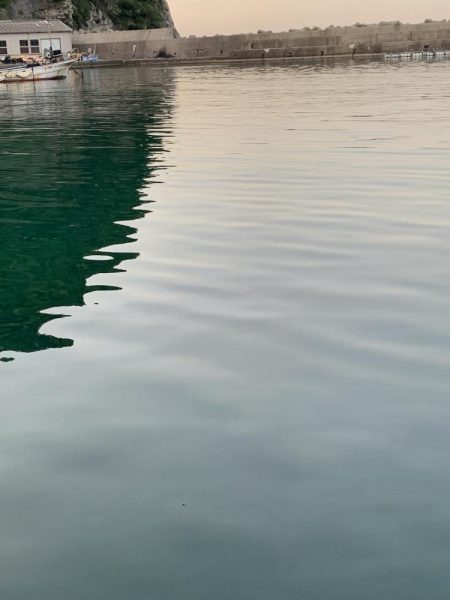 本命かと・・・?