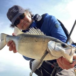 磯ヒラスズキ釣行