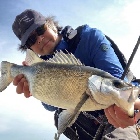 磯ヒラスズキ釣行