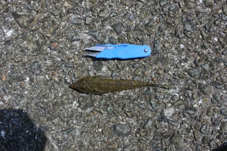 キス釣り 天候は良かったが