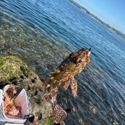 和歌山田辺の磯でフカセ釣り