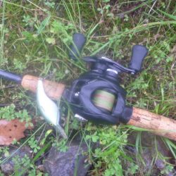 GW明けバス釣り