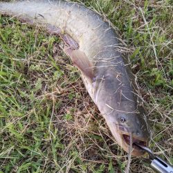 今日もちょっとだけ寄り道