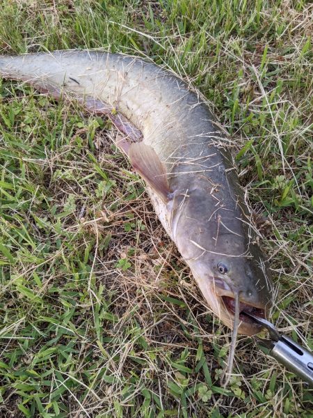 今日もちょっとだけ寄り道