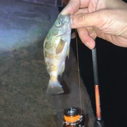 イベント入れ替えならず