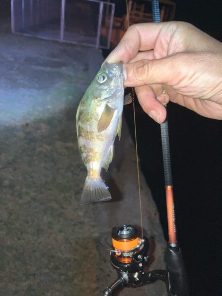 イベント入れ替えならず