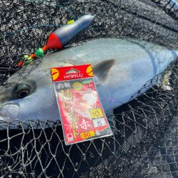 カタタの釣堀で爆釣