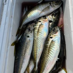 クーラーいっぱい😆