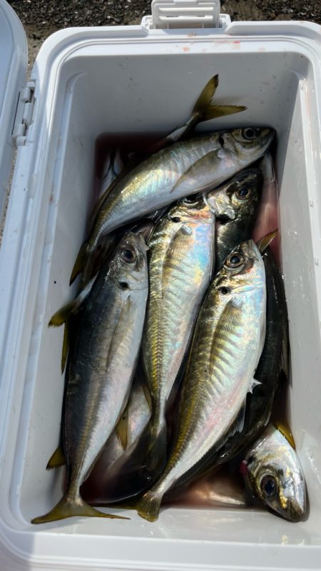 クーラーいっぱい😆