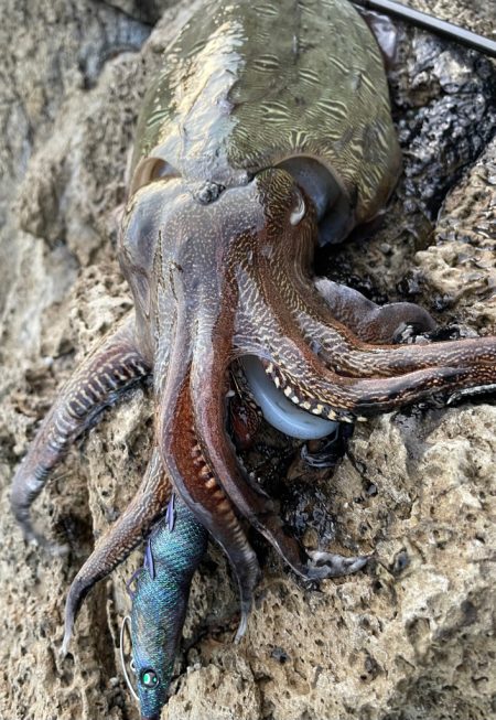 唯一のあたりで！