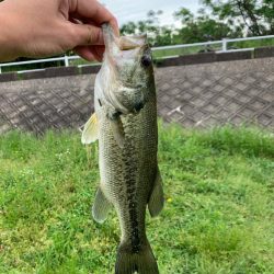 連続のバラし!なんとか一匹