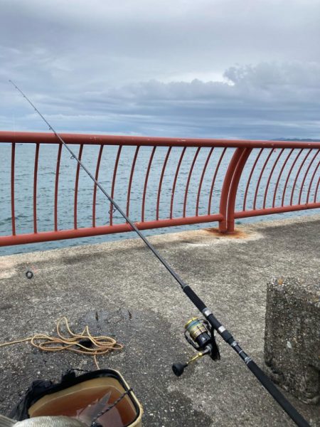 この時期でコンディション良しシーバス