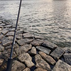 バチパターンではないが