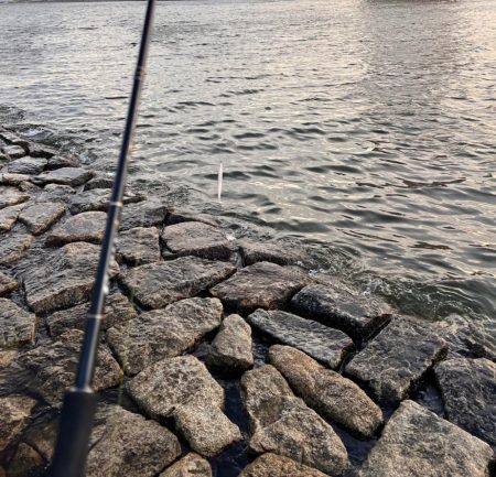 バチパターンではないが