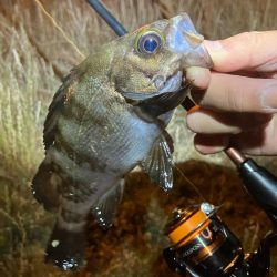 サイズ入れ替え