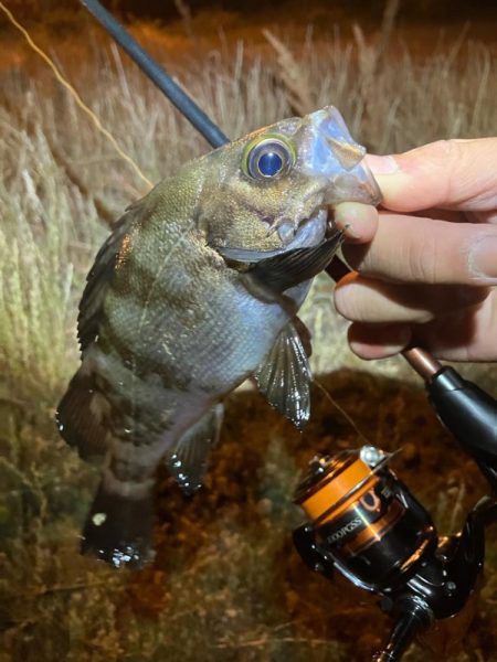 サイズ入れ替え