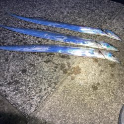 タチウオ高活性