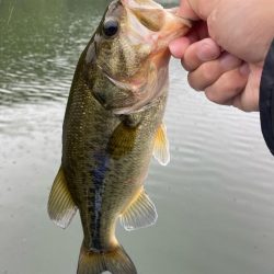 午前中ボート釣行！