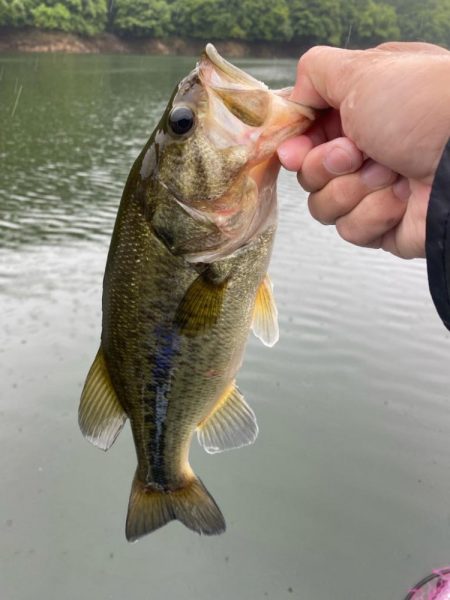 午前中ボート釣行！