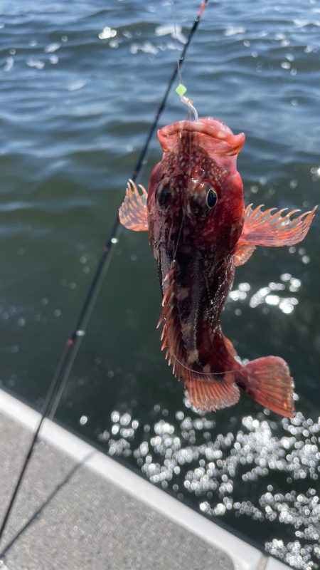 ポイントによりけり