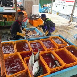 あなたに逢い鯛釣り堀