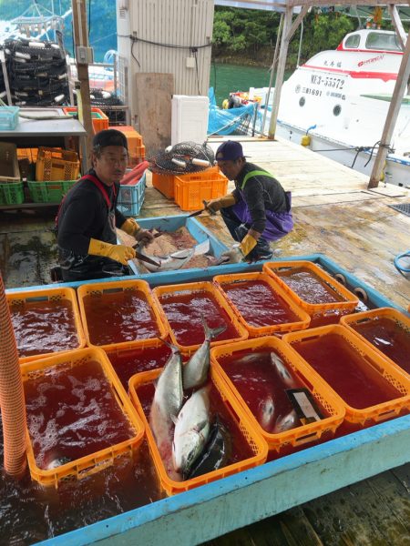 あなたに逢い鯛釣り堀