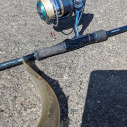 カサゴ キス釣り