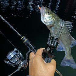 ナイト五目釣り