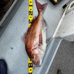 イサキ&ネギング釣行