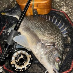 ヘチってきました