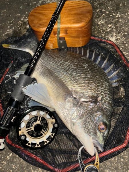 ヘチってきました