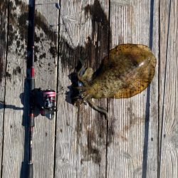 ヤエン釣り初キロover2杯良型2杯