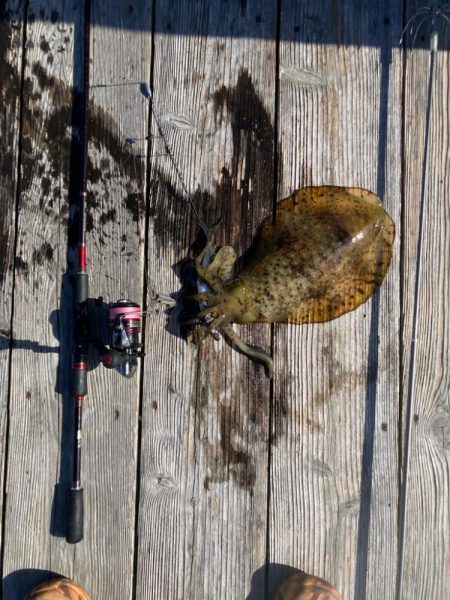 ヤエン釣り初キロover2杯良型2杯